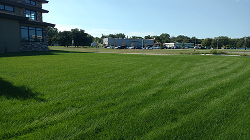 lawn care programs
